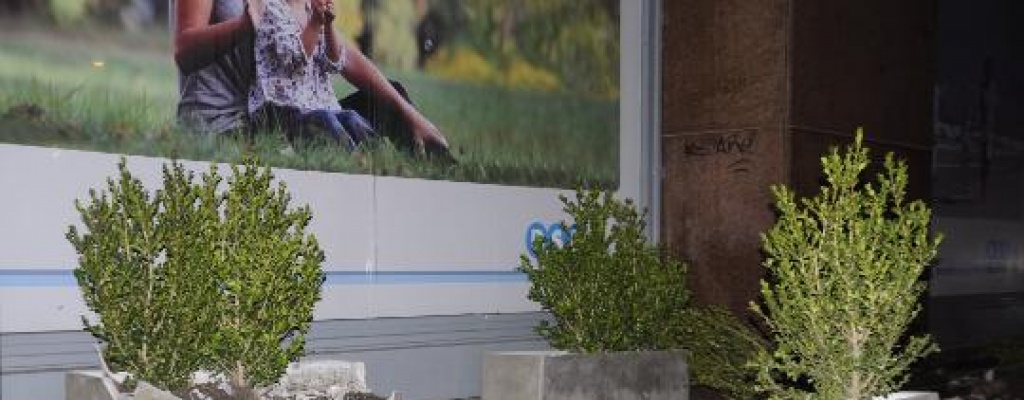 Incidentes durante la desocupaci�n del CODICEN con siete polic�as lesionados