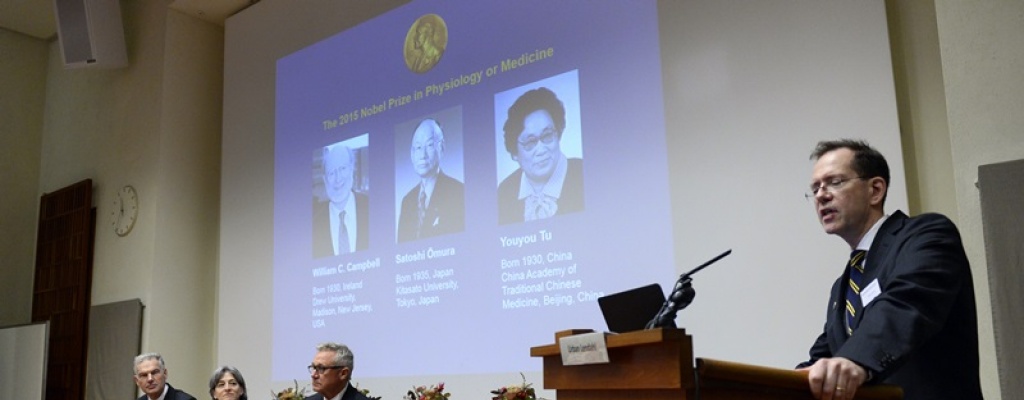 Nobel de Medicina premi avances contra infecciones parasitarias