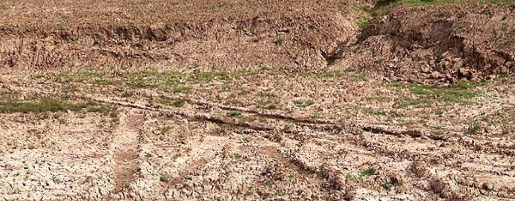 Sequ�a causa escasez de agua potable a 226.000 personas en distrito suroccidental de China