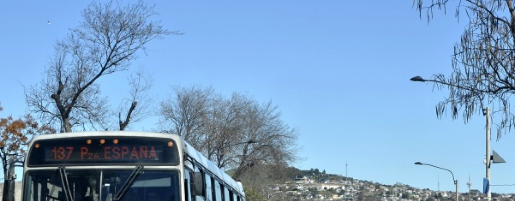 Rapias a mnibus del transporte urbano y suburbano cayeron 64 % en el ao