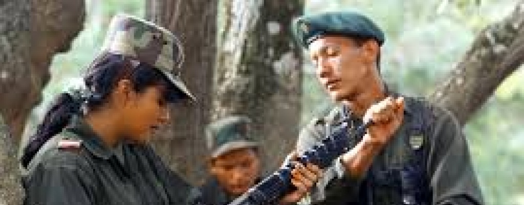 Pol�mica en Colombia: FARC puede postularse a cargos gubernamentales