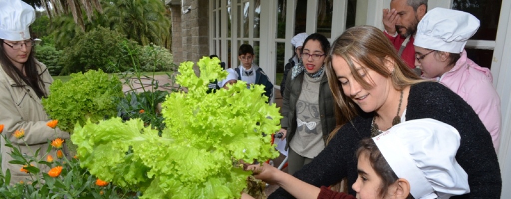 Nios de Fundacin Teletn participan del armado y desarrollo de una huerta