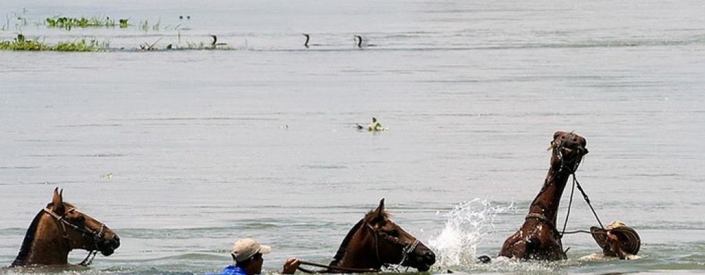 Intendente de Artigas confirma que r�o dej� de crecer