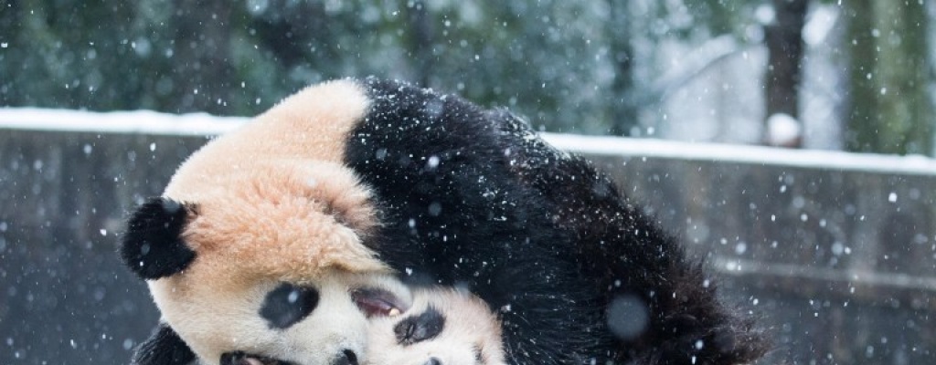 Contin�a peor ola de fr�o en 30 a�os en China