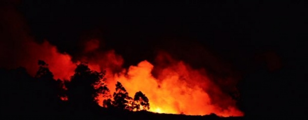 Bomberos trabaja para controlar el incendio en el Cerro del Toro en Piri�polis; la lluvia ayud� 