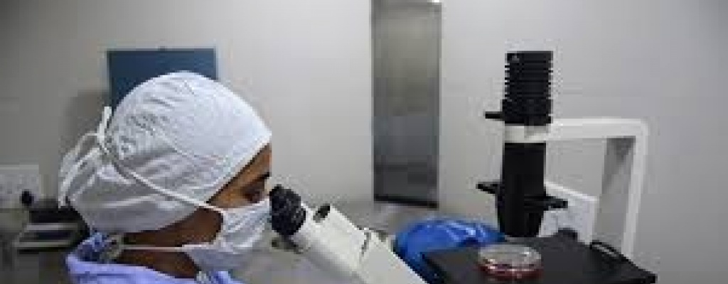 Reino Unido autoriza por primera vez manipular embriones humanos