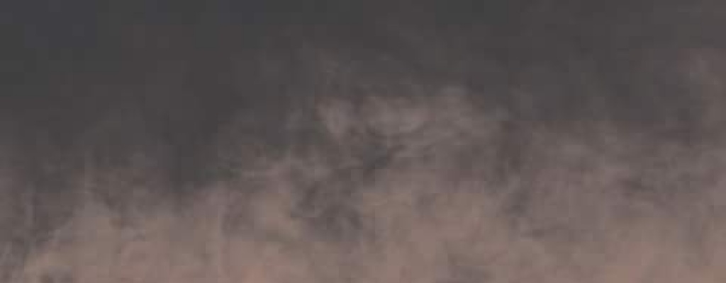 Saliendo del capullo: Monte Carlo.com entrevist� a los integrantes de "La Oruga"