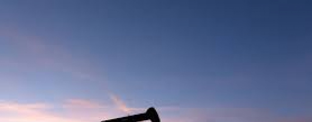 Gobierno crear� nuevo organismo si encuentra Petr�leo 