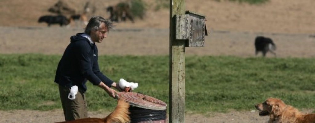 �Que es la Leishmaniosis?