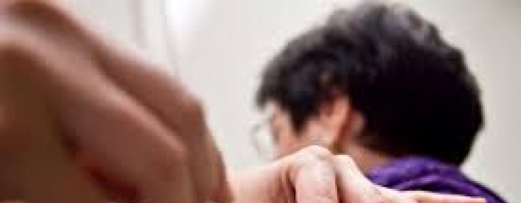 OMS advierte que no habr� pruebas a gran escala de vacunas contra el zika