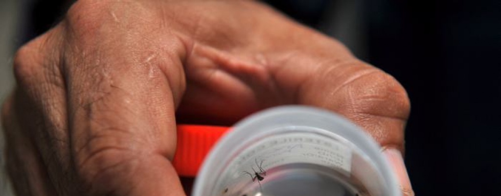 Misiones: Detecten m�s de 120 casos de dengue por d�a