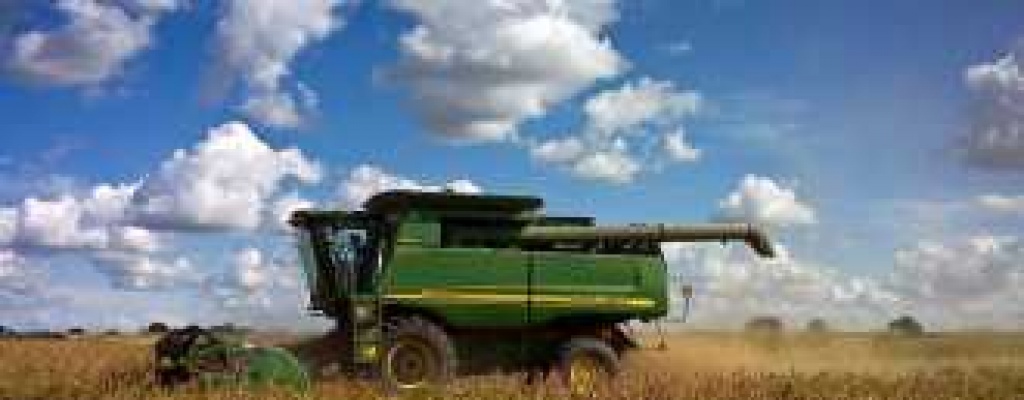 Argentina: Preocupa a los productores el impacto del clima en la campa�a 