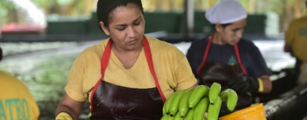 Mujeres ganan un 16% menos que los hombres en Amrica Latina 