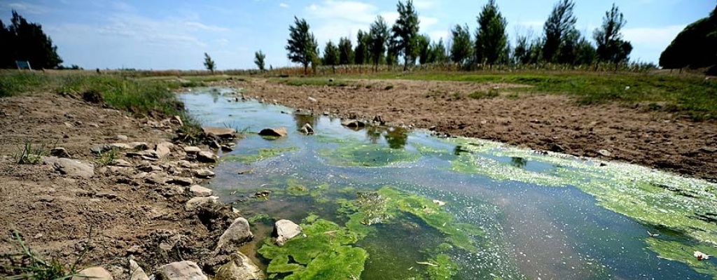 Provincia nororiental china sufre peor sequ�a en 63 a�os