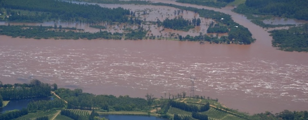 Se declar la Emergencia Agropecuaria 