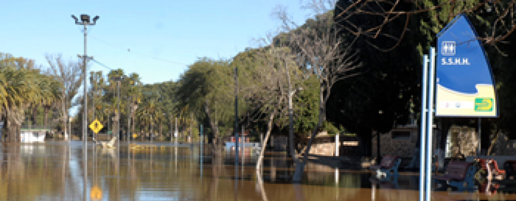 Uruguayos en Gran Bretaa recolectan fondos para desplazados en nuestro pas 