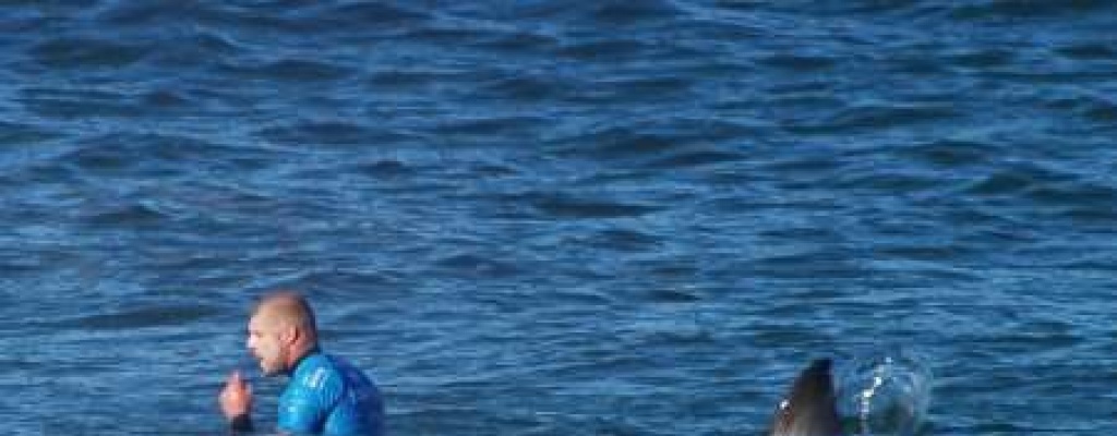 Una mujer es llevada al hospital con un tibur�n prendido al brazo en Florida