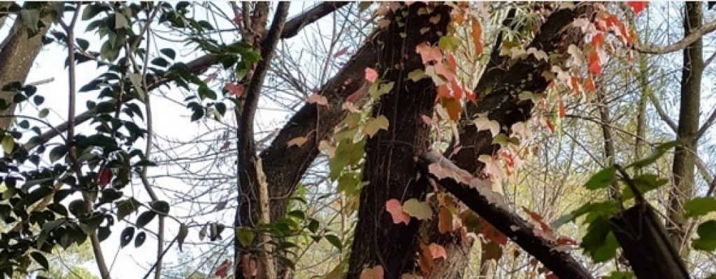 El tiempo hoy y lo previsto para junio 