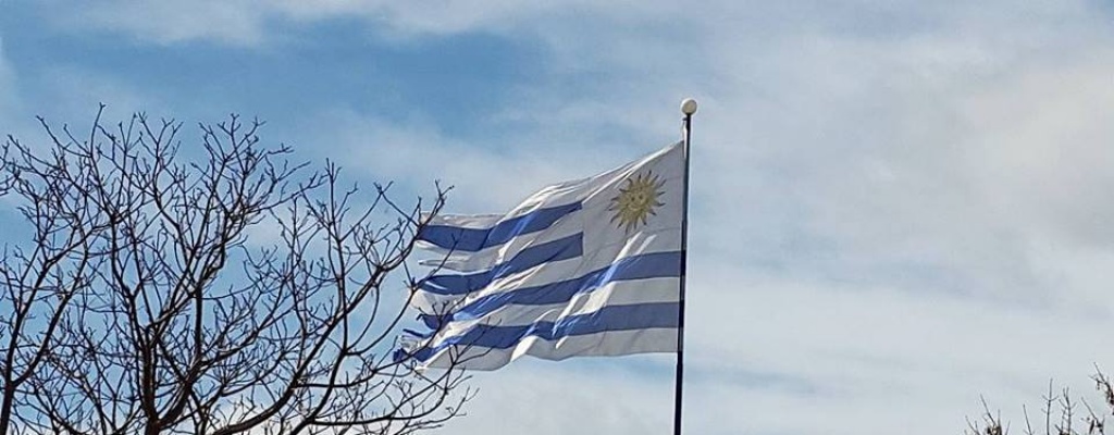 Subastaron casi 2.000 motos en Paysand� 