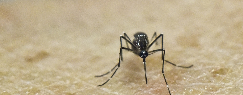 Primer caso de contagio de zika de una mujer a un hombre por v�a sexual