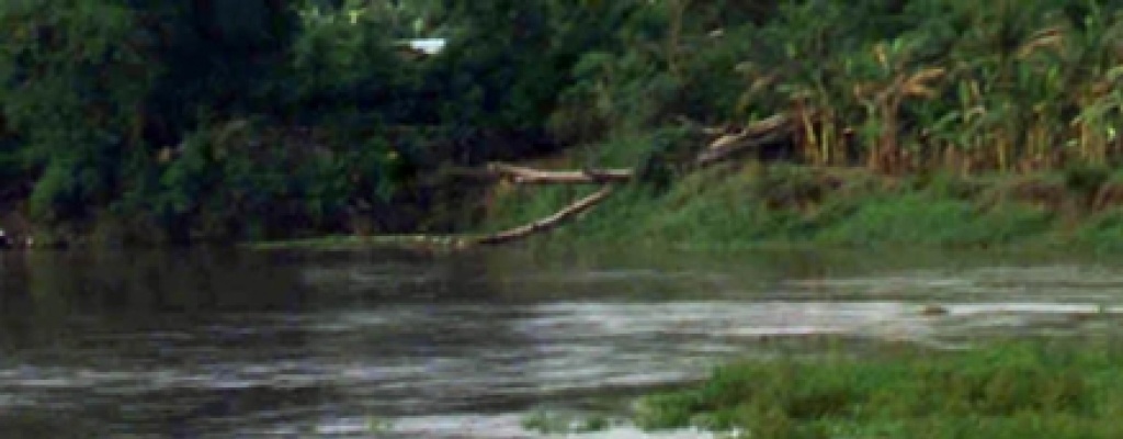 Los 700 migrantes de un barco naufragado iban "hacinados como en trenes de Auschwitz"