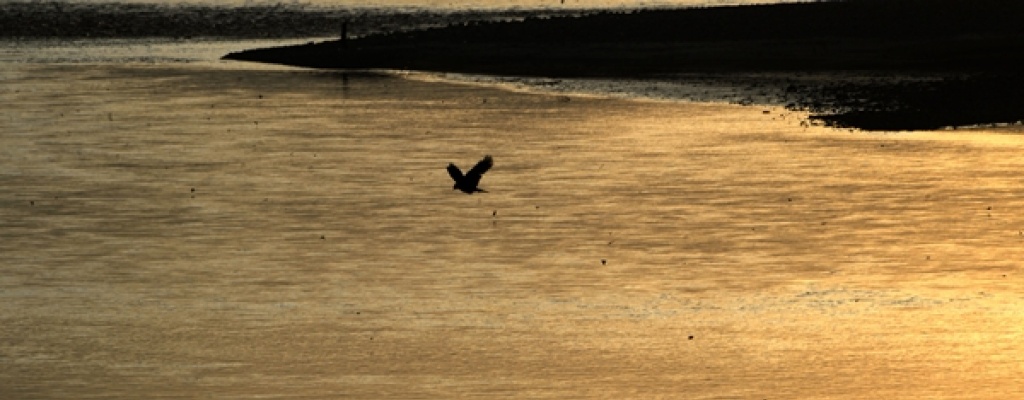 Una ni�a paquistan� y sus padres mueren por un selfie