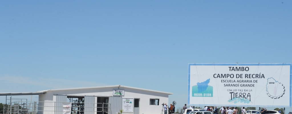 Denunciaron a un docente por tener relaciones sexuales con alumna