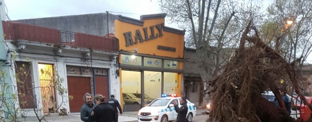 El temporal provoc� voladuras de techos, ca�da de �rboles y varias casas da�adas