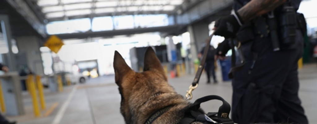 Seis heridos en tiroteo en Houston; polic�a abati� al atacante