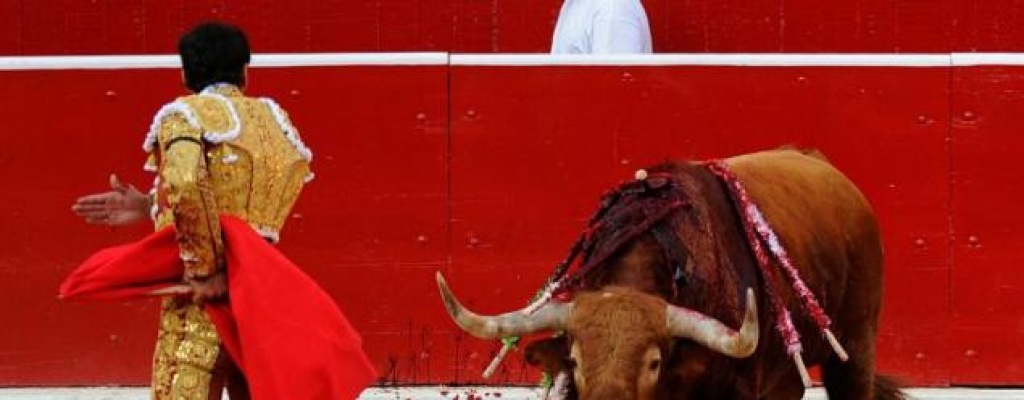 Ins�lito: Encuentran plantaci�n de marihuana en una plaza de toros