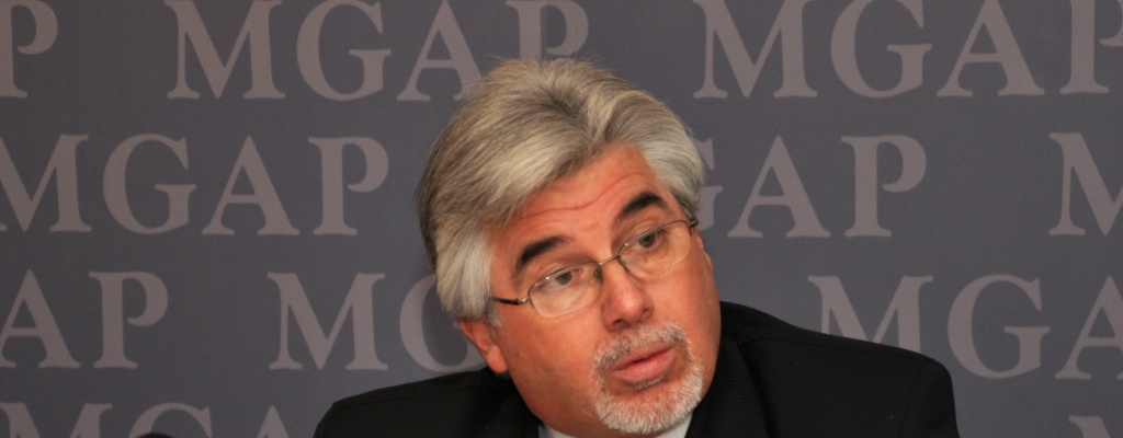 Aguerre: Impuesto a Primaria al agro no impactar� en econom�a del sector