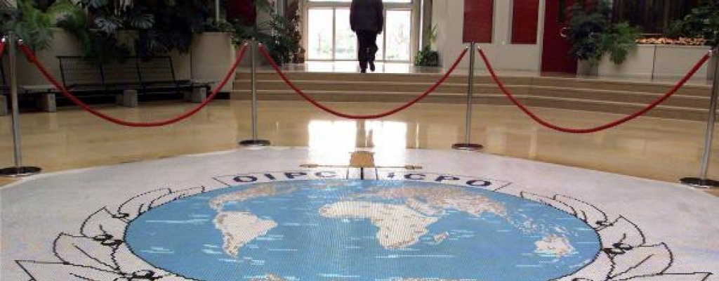 Jerarca de INTERPOL dijo que legalizar la droga es "una hipocres�a"