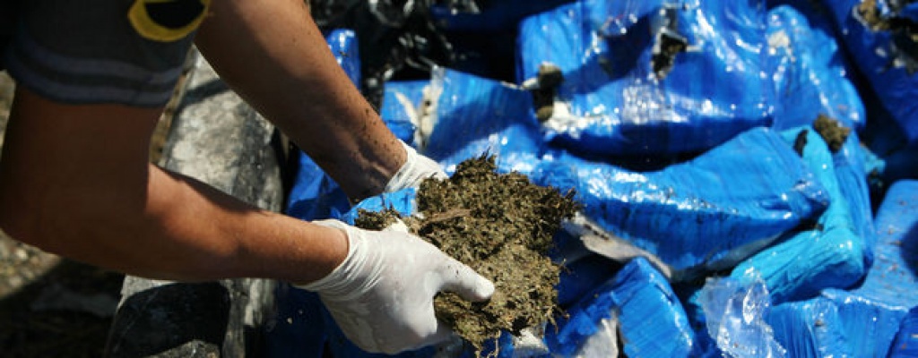 Alcald�a chilena obtiene permiso para plantar marihuana con fin terap�utico