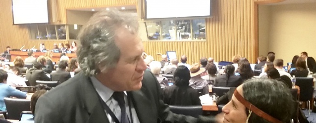 Almagro pidi� combatir la violencia de g�nero y record� el exterminio ind�gena en Asamblea de ONU