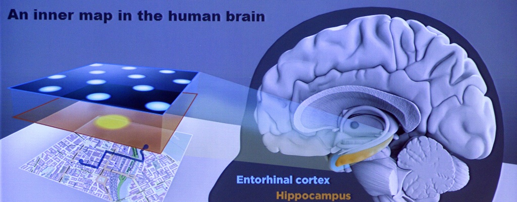 Nobel de Medicina para descubridores de "GPS interno" cerebral