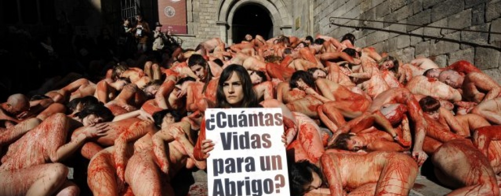 San Pablo prohbe la crianza de animales para extraccin de piel