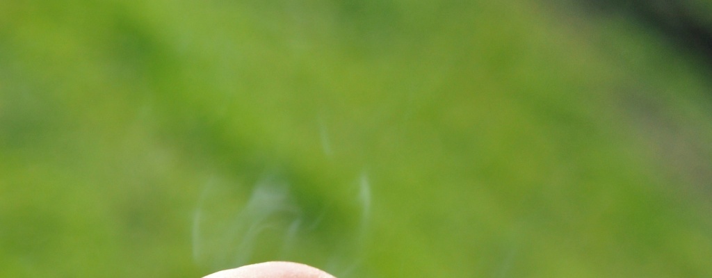 Nueva York anunci que ya no arrestar por posesin de marihuana hasta 25 gramos