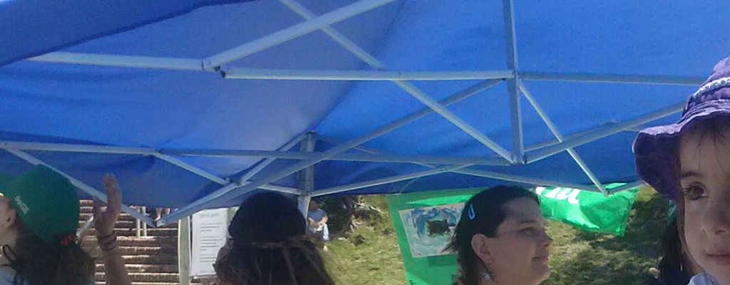 xito rotundo la liberacin de tortugas apadrinadas por nios del Colegio Santa Elena