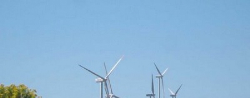 Delegacin mexicana recorre establecimientos para apoyar proyectos de energa renovable