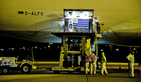 Llegaron las primeras 50.000 dosis de Pfizer contra la covid-19