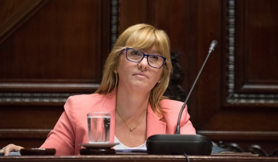 El FA convocar� al Parlamento al ministro Salinas y a todo el directorio de ASSE