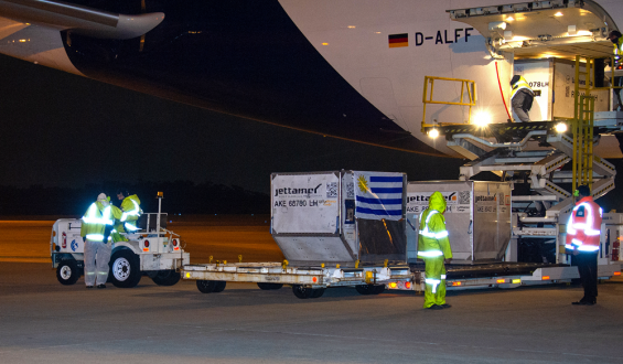 Salud P�blica busca inmunizar a 2:836.000 personas