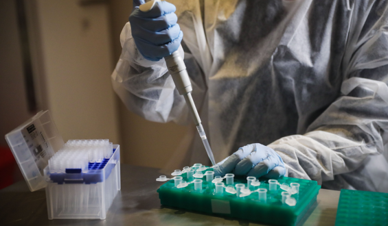 Cient�ficos anunciaron "circulaci�n extendida" de variante brasile�a