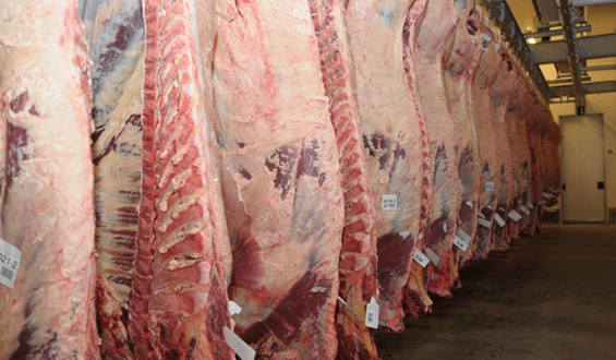Casos de Covid-19 en frigor�ficos pone en riesgo la exportaci�n de carnes
