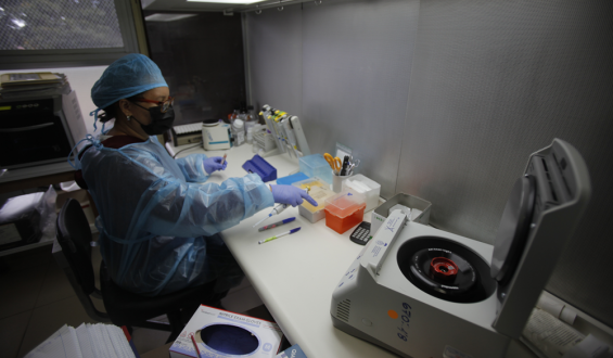 La variante brasile�a P1 circula en todos los departamentos