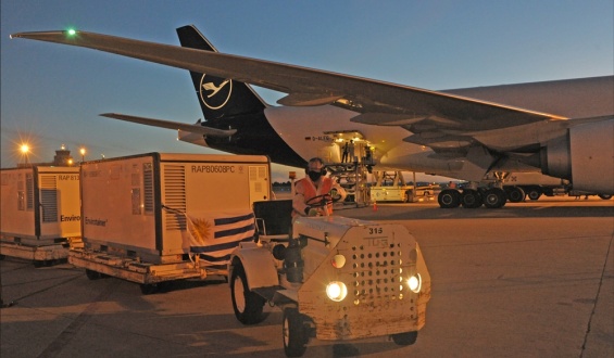 Llegaron un mill�n de vacunas de Sinovac