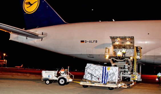 Arribaron al pa�s 550.000 vacunas m�s de Sinovac