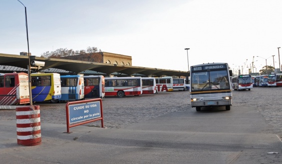 Analizan paro en el transporte interdepartamental