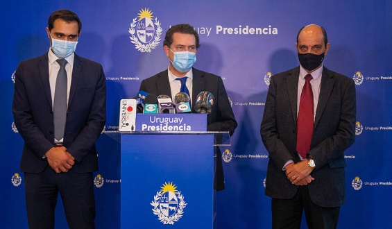 Trabajan en la regulaci�n del decreto vinculado al cannabis medicinal