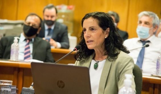 Autoridades de Economa concurren este lunes al Parlamento